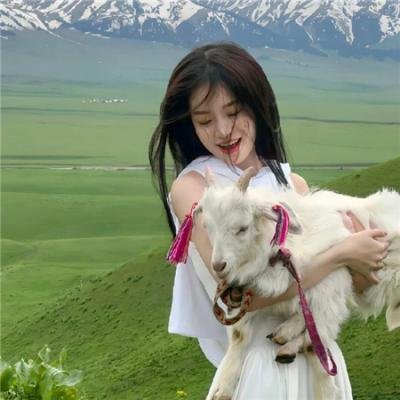 死灵编码 封面